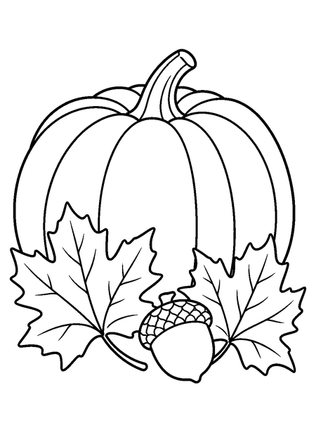 Kürbis und Herbstblätter als Ausmalbild mit schwarzen Konturen, großen weißen Flächen und reinweißem Hintergrund.
